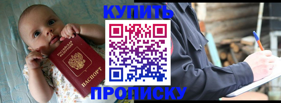 прописка поиск в Кашине